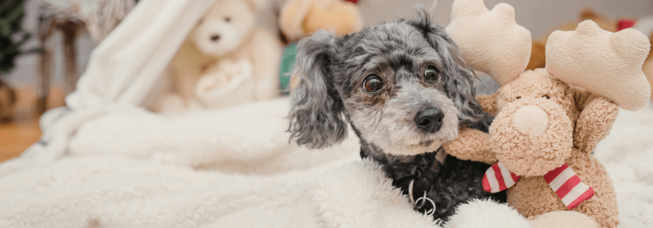 グッズカテゴリのイメージ画像