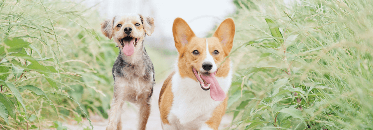 recommendのイメージ画像