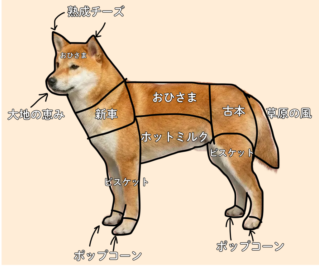 犬の匂い図解
