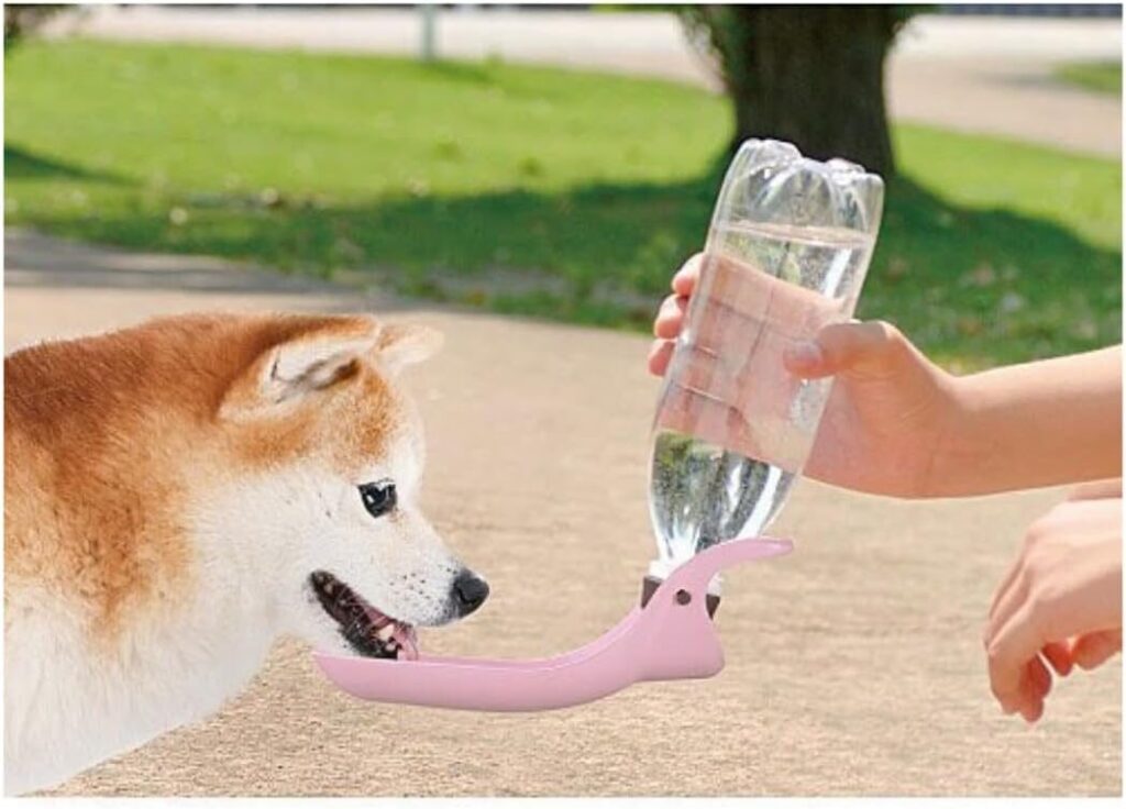 犬の給水ボトル