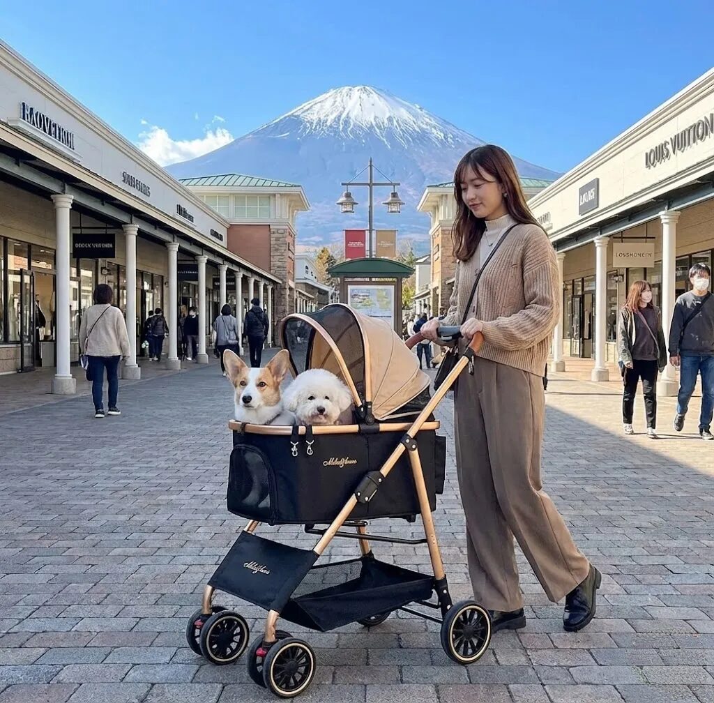 カートに犬を乗せて歩いている女性