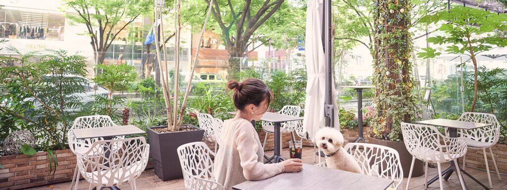 テラス席に犬が座っている写真