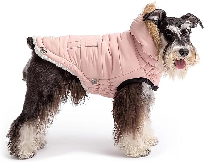 キルティングコートを着る犬