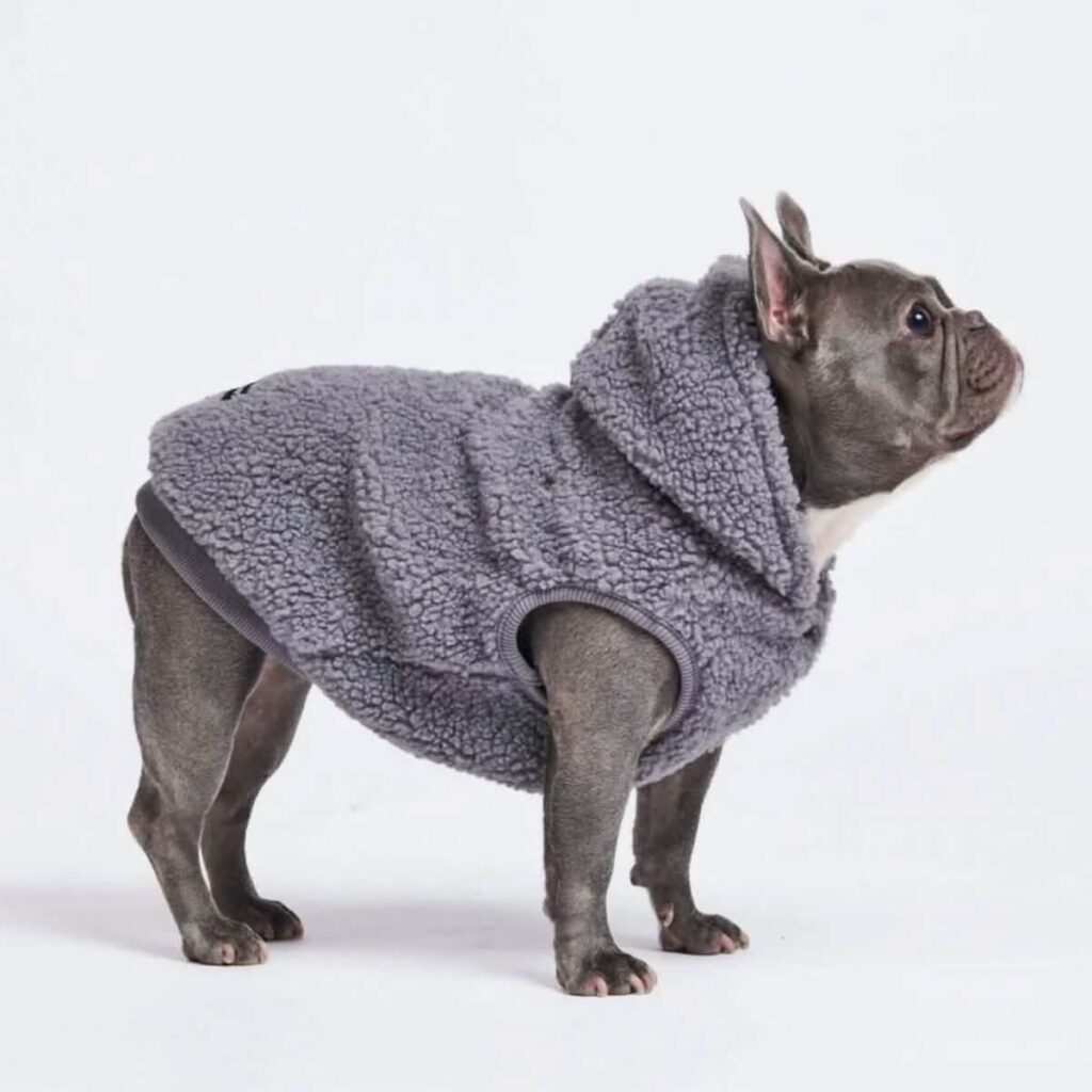 高齢犬 クリスマス ギフト Spark Paws