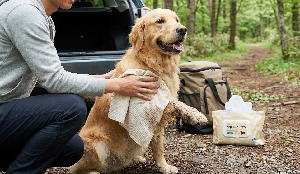 犬の旅行で便利な水不要シャンプータオルのイメージ写真