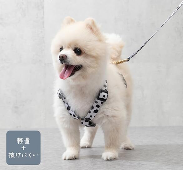 犬 散歩 歩かない 対策 | やさしいY字型ハーネス