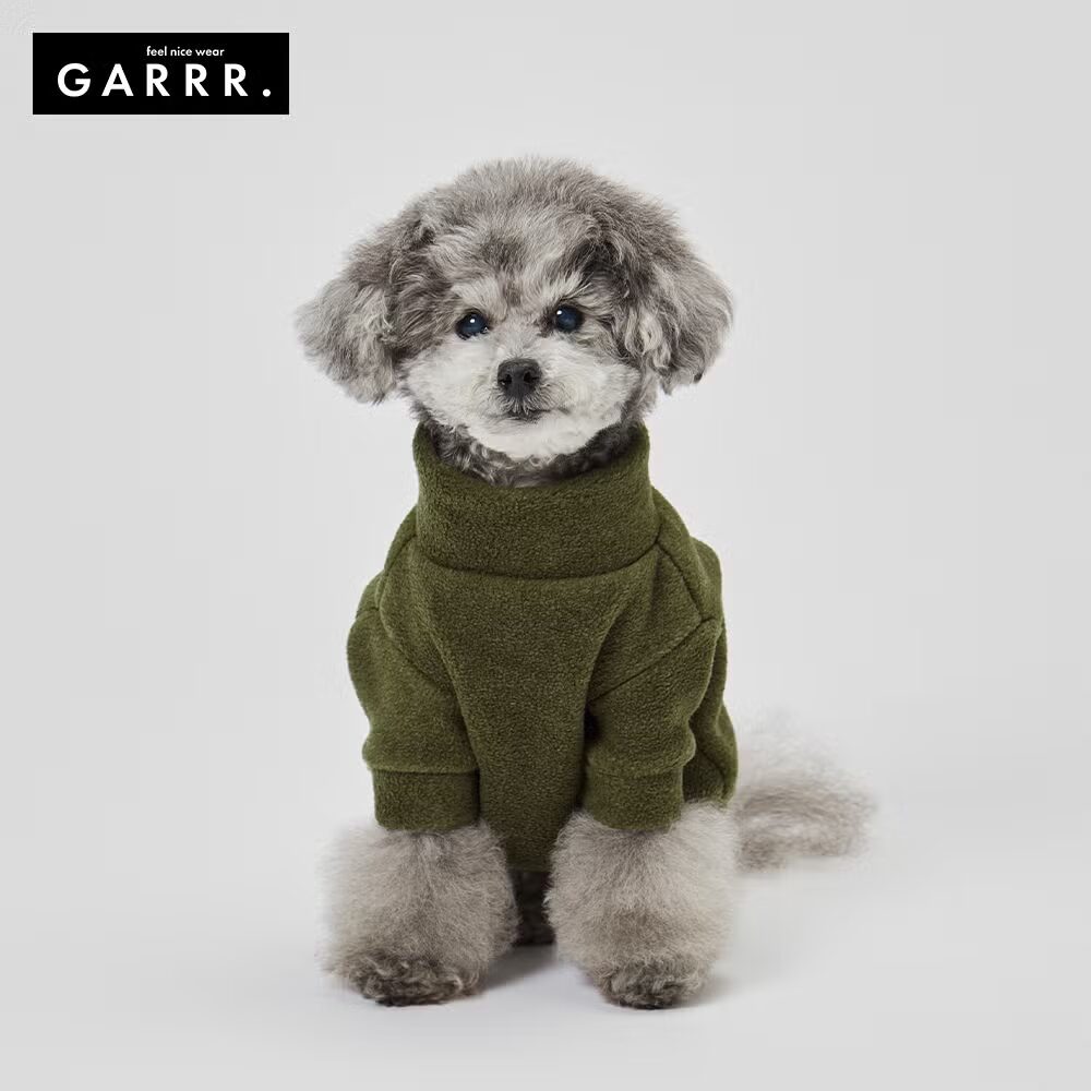 高齢犬 クリスマス 冬対策 GUNZE