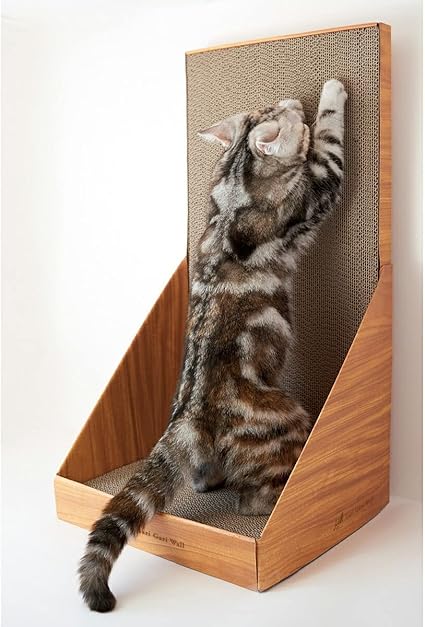 ガリガリウォールスクラッチャー