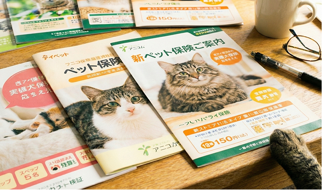 猫の保険パンフレット