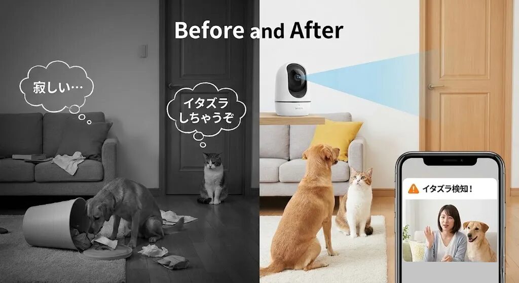 ペットカメラの導入前後の様子
