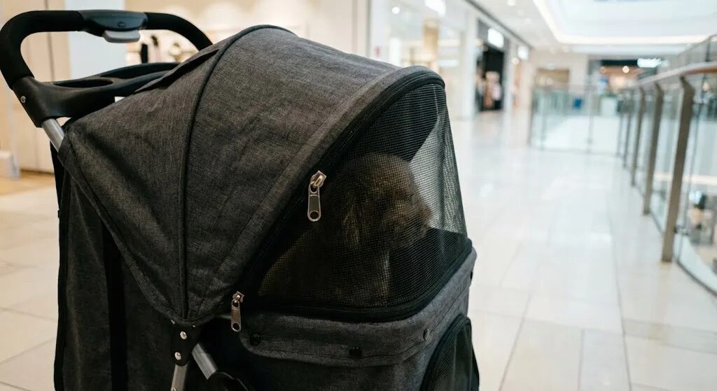 ペットカートに犬を入れて施設を回る飼い主