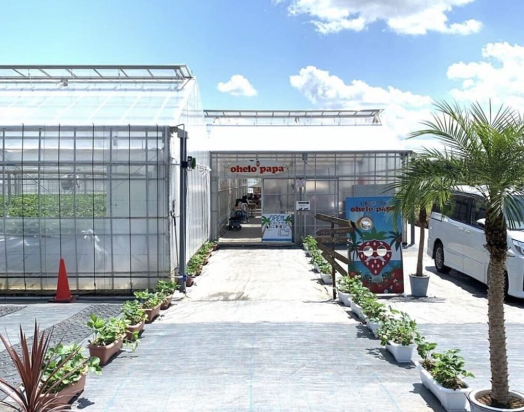 南国リゾート気分ないちご農園