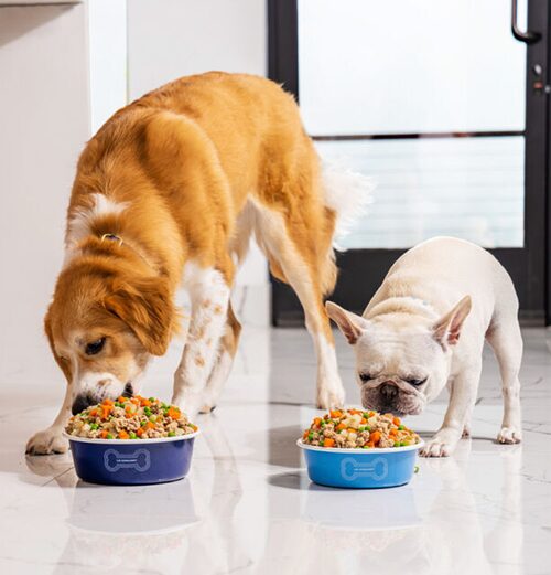 Le Creusetの犬用食器