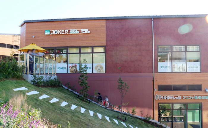 DOG&CAT JOKERの外観