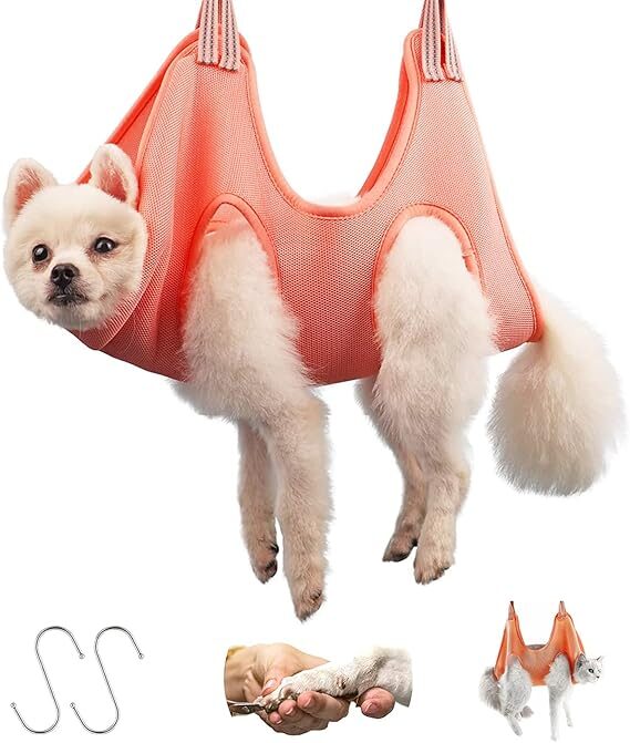 犬用ハンモックで吊るされている犬