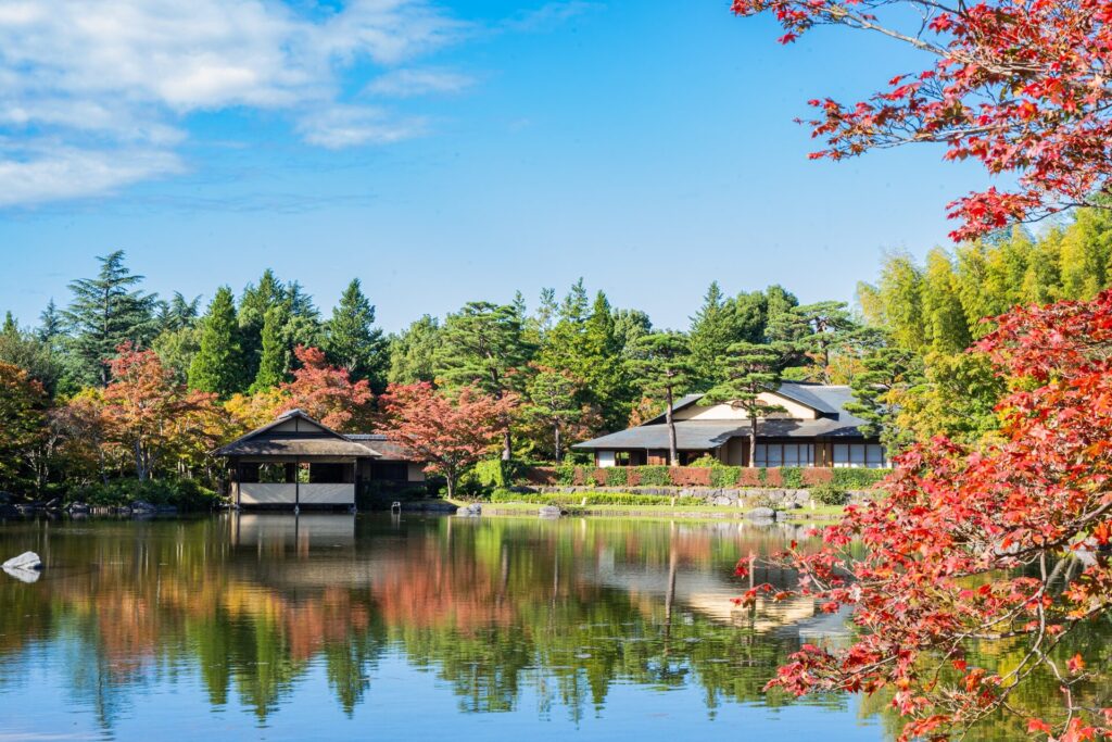 国営昭和記念公園の風景