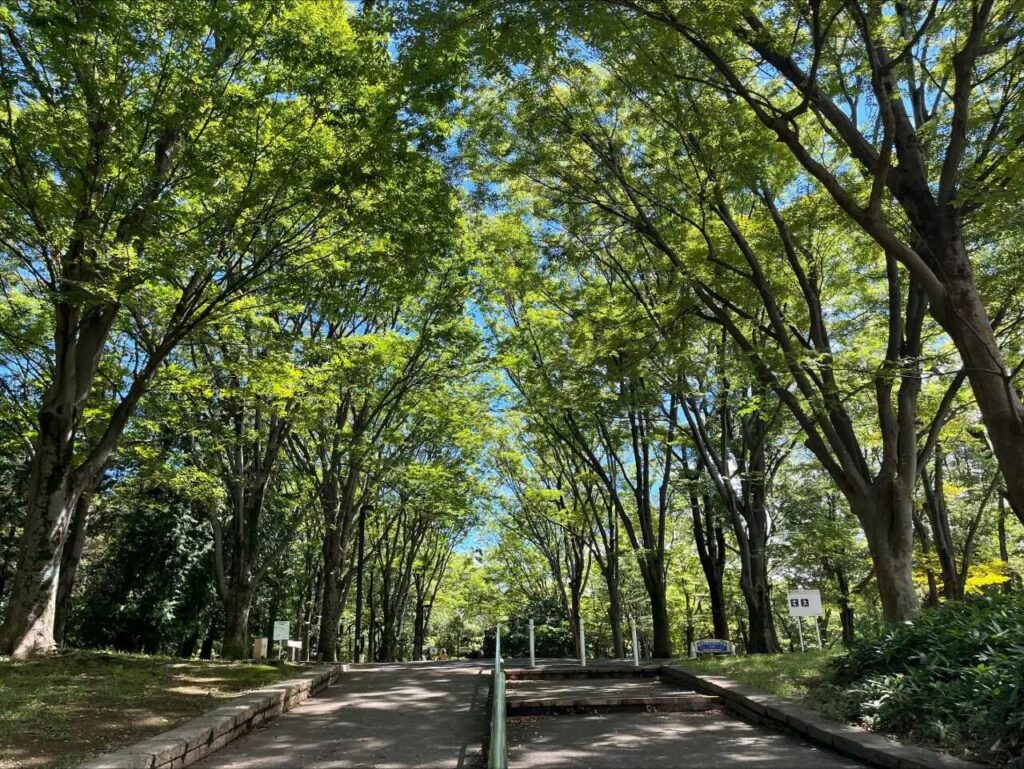 代々木公園の風景