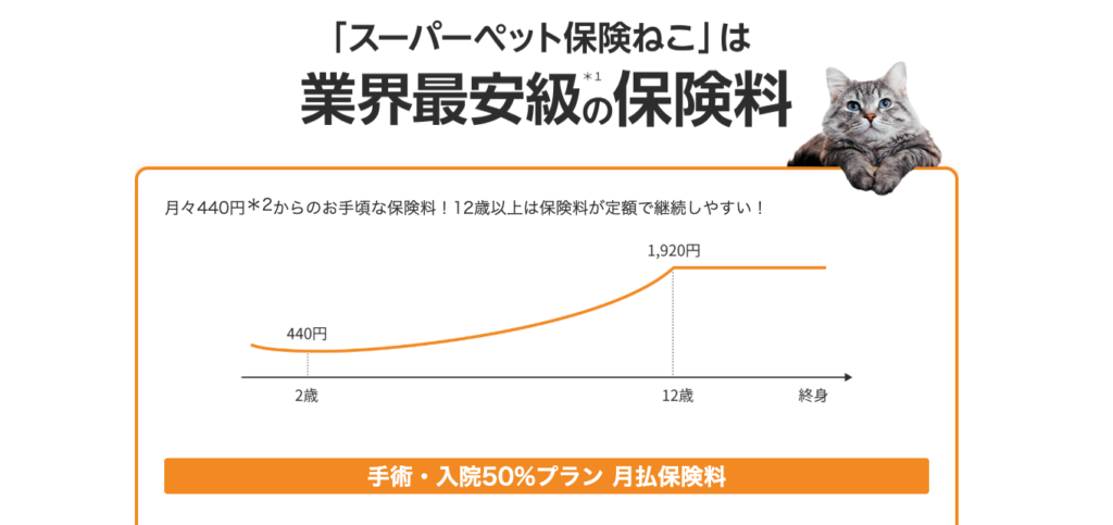 スーパーペット保険猫のイメージ画像