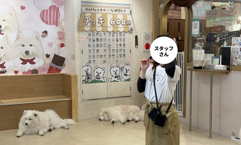 ルールやオプションについて説明するmoffuのスタッフさん