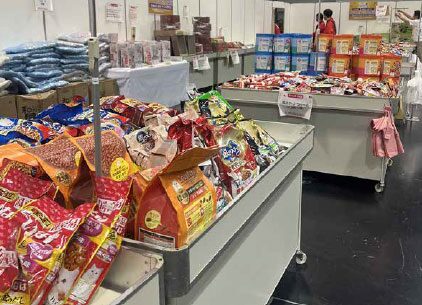 激安猫用商品売り場