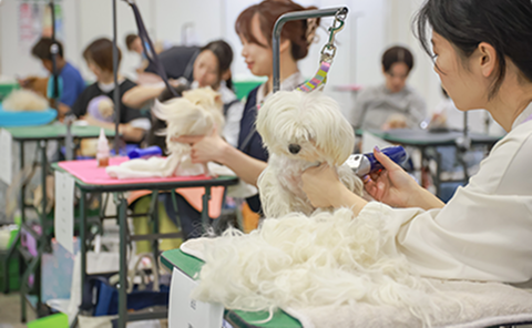 トリミングブースの様子