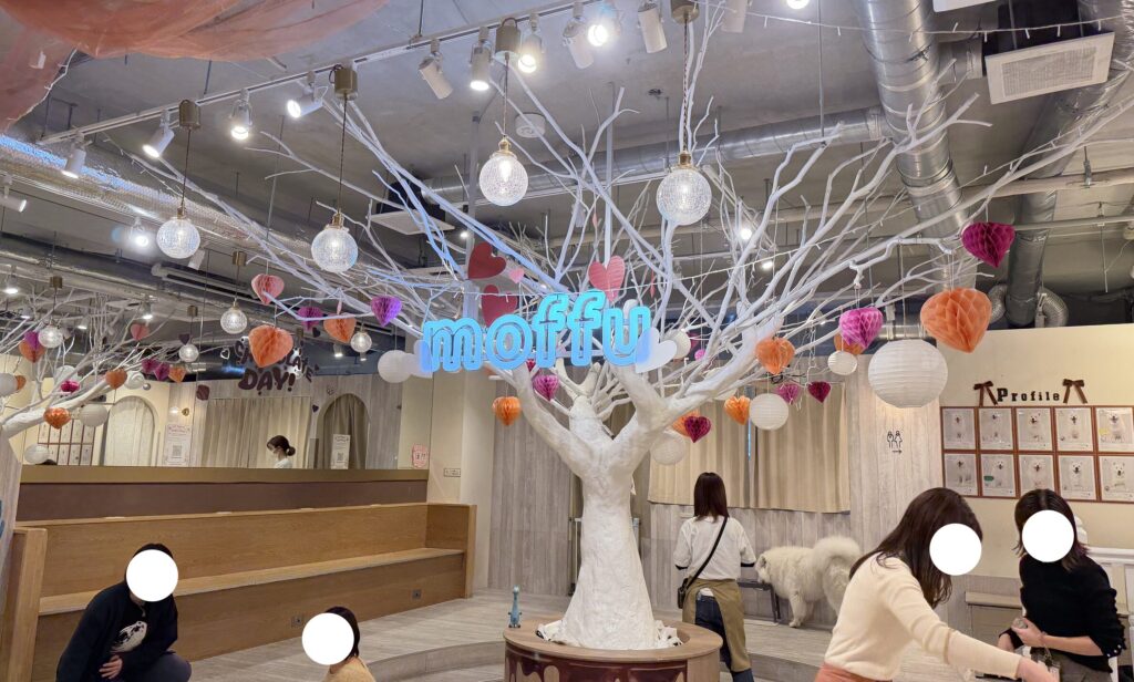 moffuの内観と客層などの雰囲気