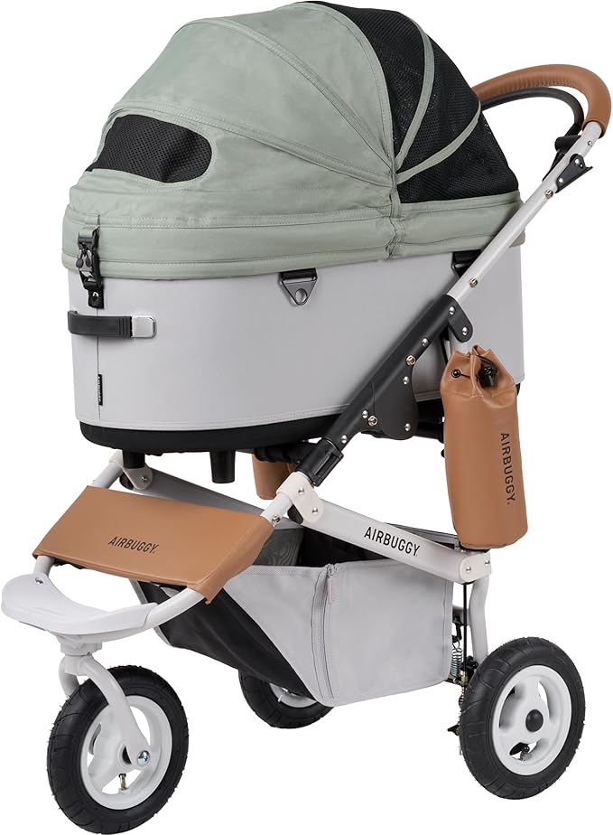 AirBuggy  DOME3 