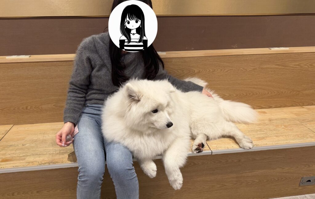 サモエドと2ショットをとるうっちー