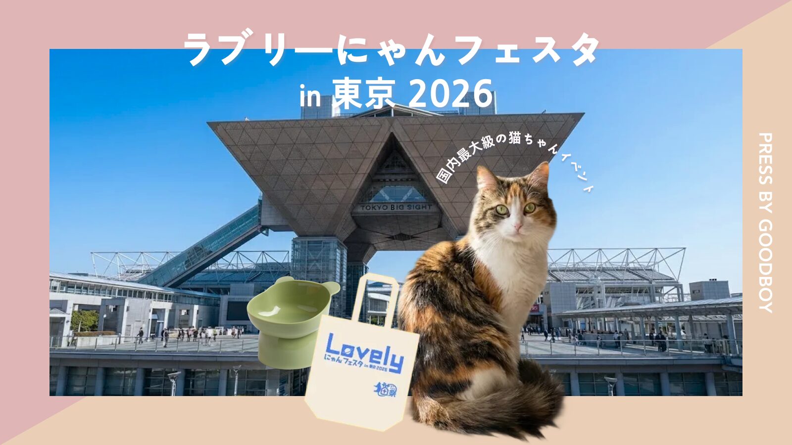 ラブリーにゃんフェスサムネ