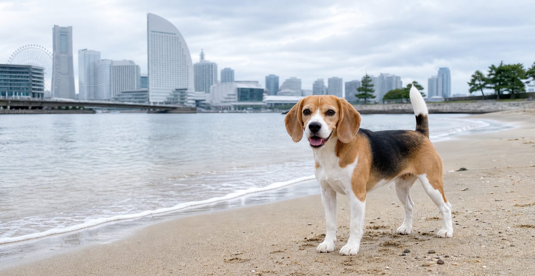 【横浜ベイクォーター】犬連れ完全ガイド！ペット同伴ルール・おすすめルート・お散歩マナーを徹底解説