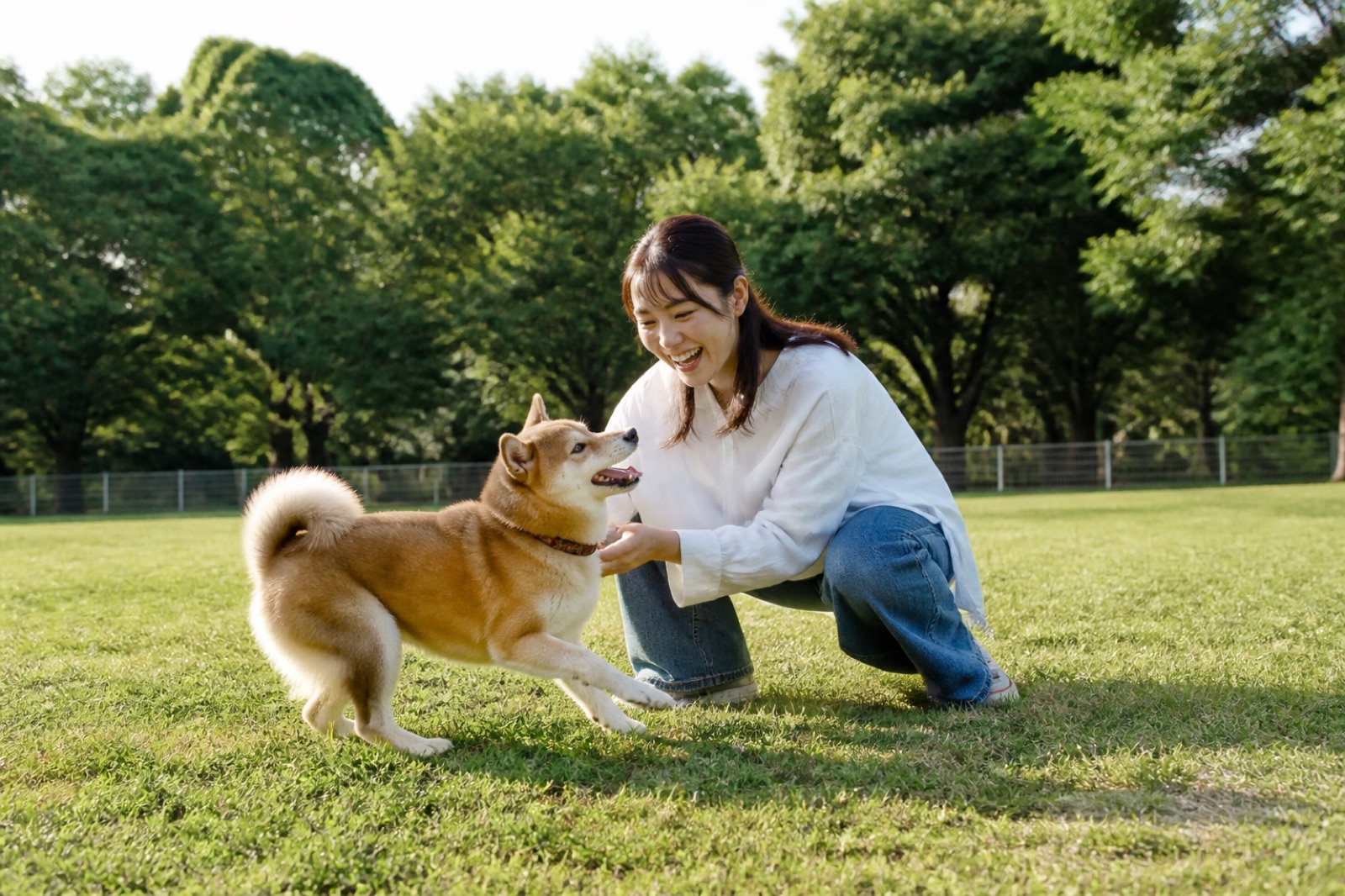 昭和記念公園のドッグランで愛犬と遊ぶ女性