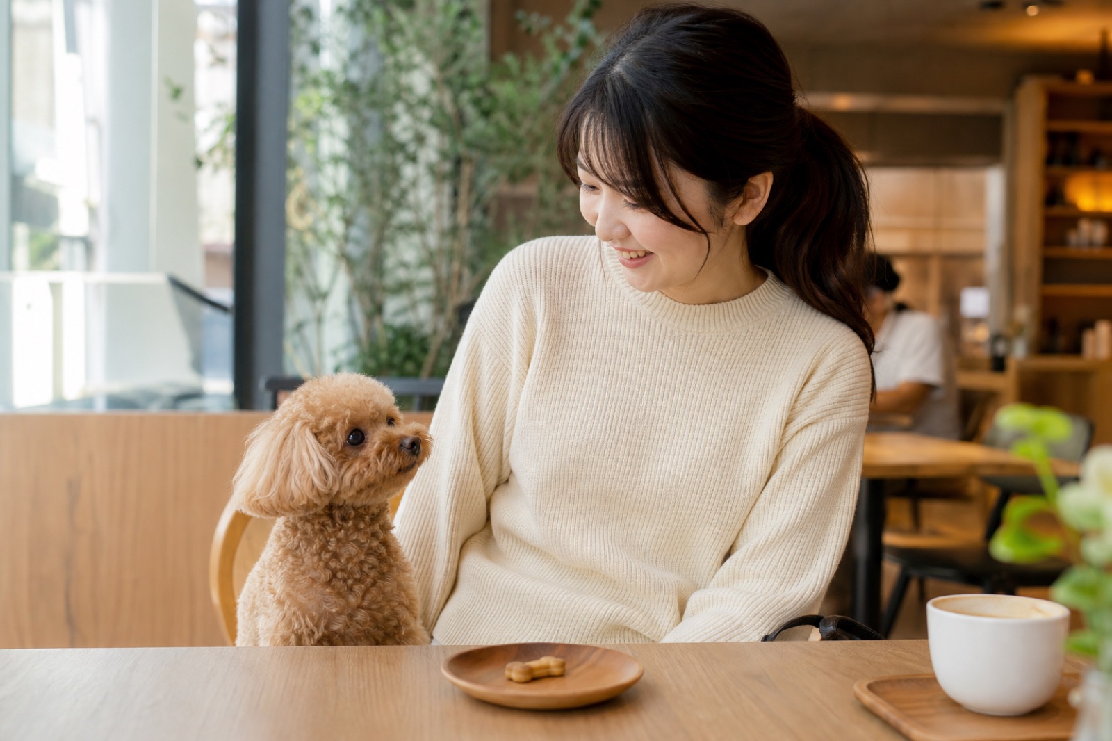 明るいドッグカフェで休憩する愛犬と飼い主の様子