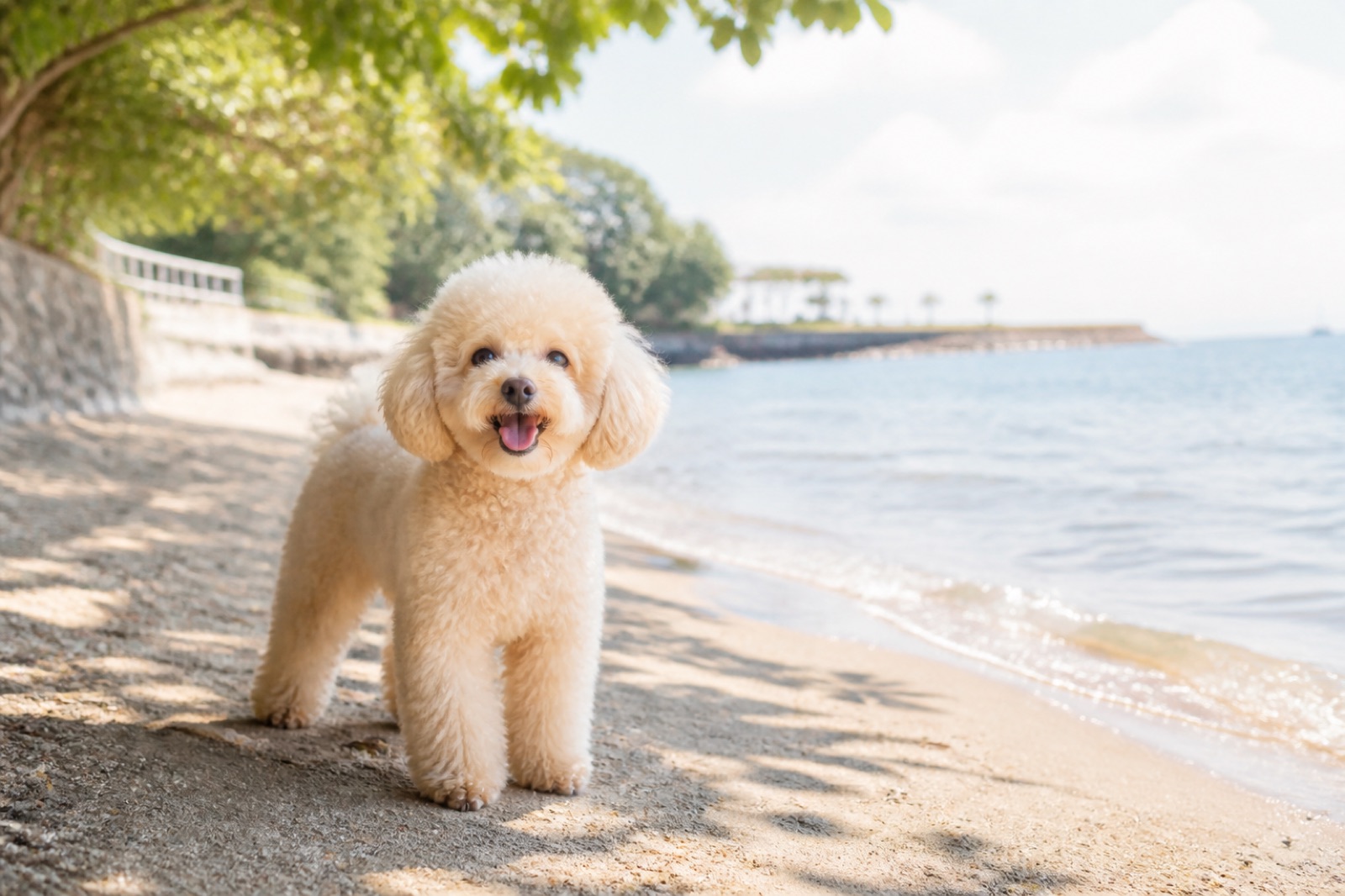 八景島シーパラダイスは犬連れOK？同伴ルールと入れるエリア
