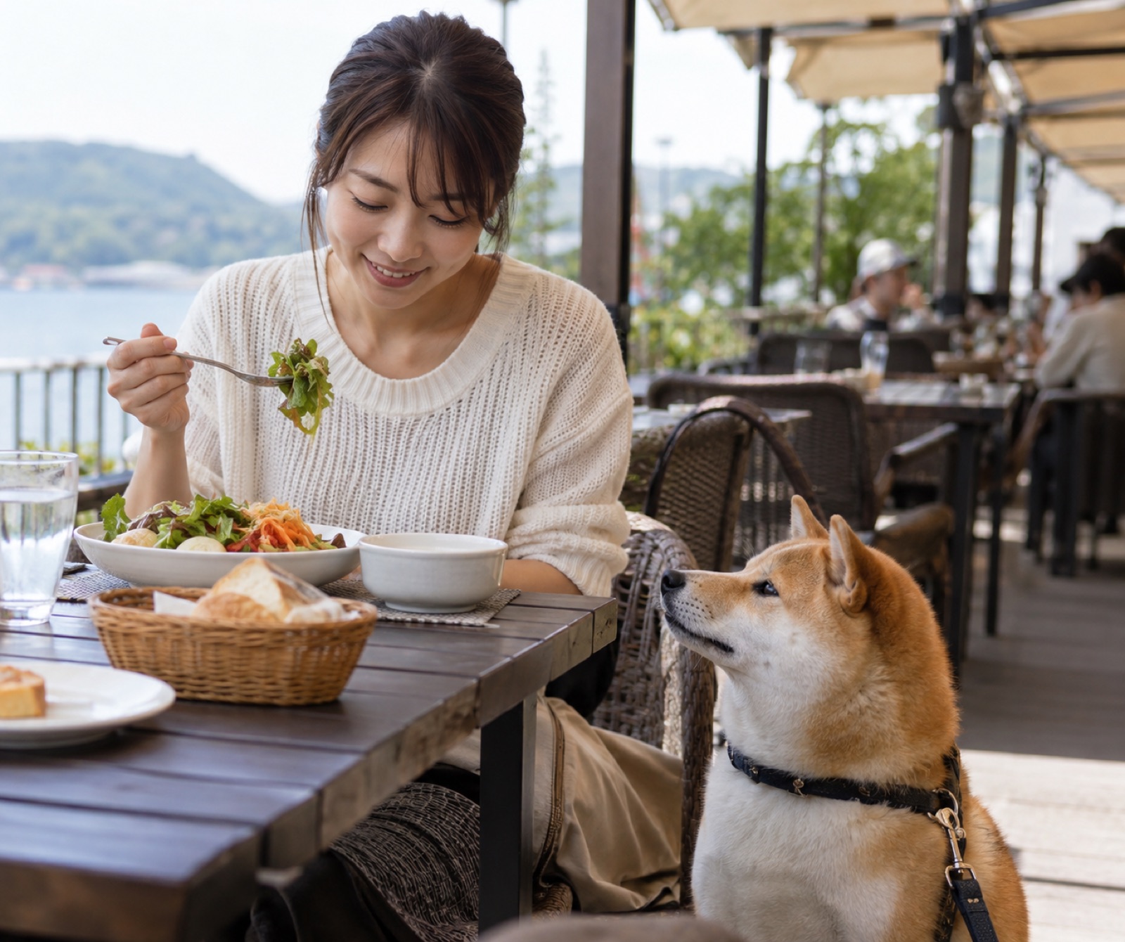 テラス席で愛犬と食事を楽しむ様子