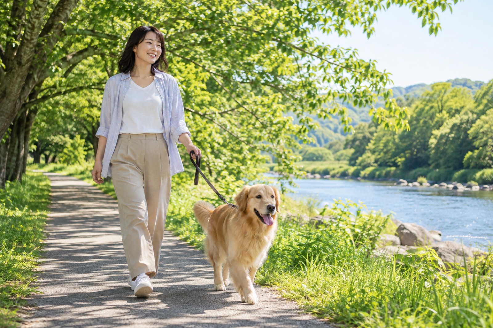 御影用水沿いの美しい散歩道を愛犬と歩く様子